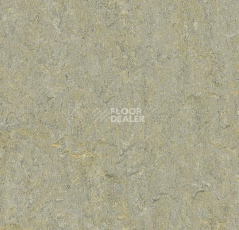 Линолеум Forbo Marmoleum Marbled Terra 5801-580135 river bank фото 1 | FLOORDEALER